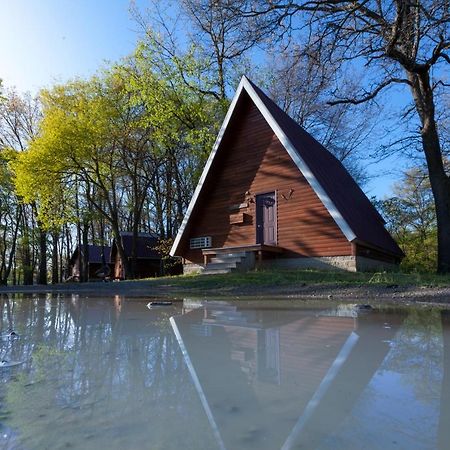 מלון Springfield Serenity Springs - Michigan City מראה חיצוני תמונה