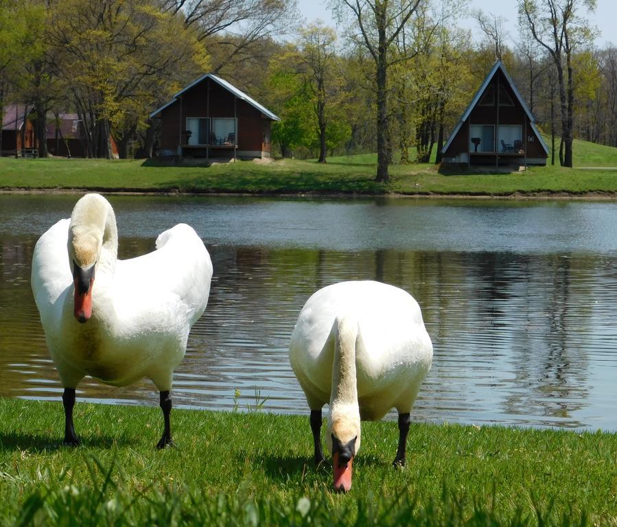 מלון Springfield Serenity Springs - Michigan City מראה חיצוני תמונה