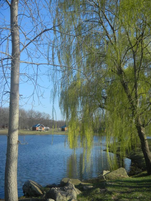 מלון Springfield Serenity Springs - Michigan City מראה חיצוני תמונה