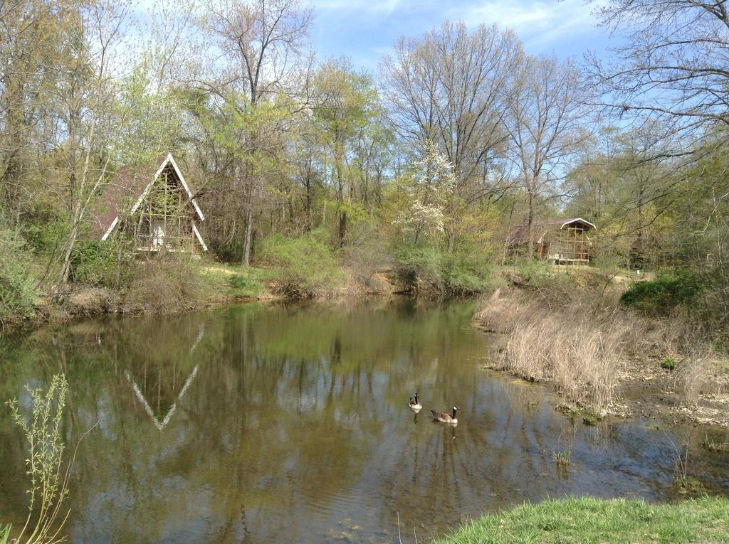 מלון Springfield Serenity Springs - Michigan City מראה חיצוני תמונה